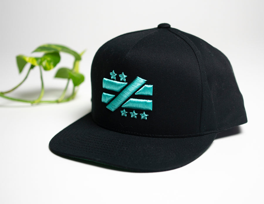 "OG Logo" Black/Teal Snapback - Mystérieux Brand